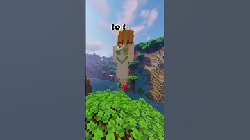 Thumbnail of MINECRAFT GENDER MOD