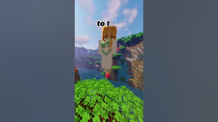 MINECRAFT GENDER MOD