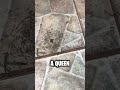 This Guy Discovered Something Terrifying! 😱