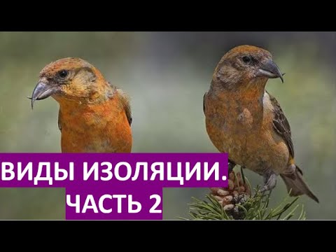 13. Виды изоляции, часть 2