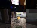 5 plates bug? #warzone