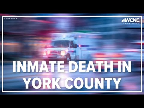 York Sc Inmates