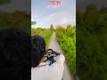 রাস্তাটা কেমন.. সুন্দর না??🌷#bikerider #rider