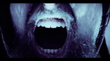 ZAKAZ - Endalausi Vítahringur (Official Visualizer)