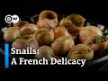 Escargot: Why snails are a popular specialty in France