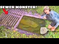 I found a sewer infested with monster aquarium fish