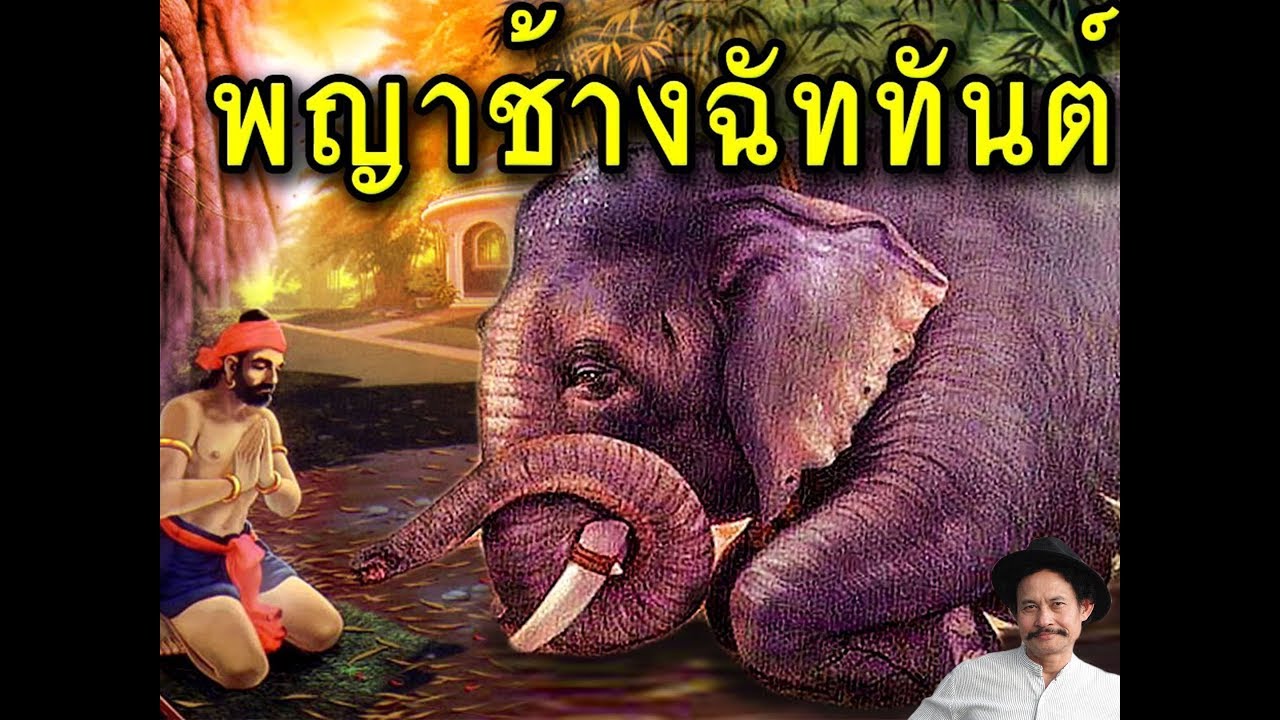 พญาช้างฉัตรทันต์ บุญช่วง เด่นดวง