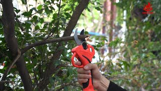 Cutting Edge Gardening: ONEVAN 61mm Brushless Cordless Pruning Shears for Makita 18V Battery