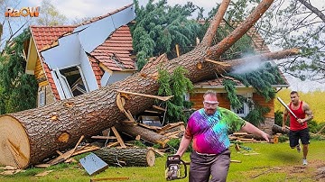 Idiots With Chainsaws: Tree Cutting Fails | Extreme Dangerous Logging Truck Fails