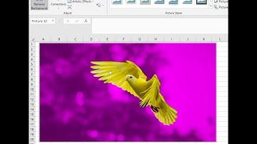 Make an image Transparent in Microsoft Excel || Remove Background