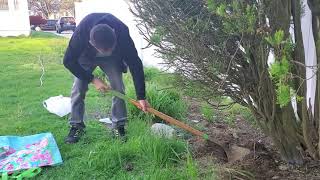 How To Fertilize 🌳 Tree : Tree 🌳 Spikes