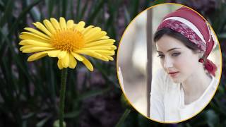 SEVDA MEVSİMİ ALİHAN