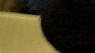 CLIP0045.AVI