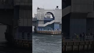 İSTANBUL GALATA KÖPRÜSÜ'NÜ GEÇMEMEYEN , BİLİNMEYEN VAR MIDIR?