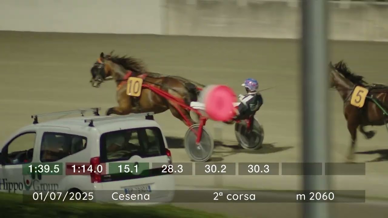 2025 07 01 | Corsa 2 | Metri 2060 | Premio Animal Garden Cesena Di Corbara Raffaele