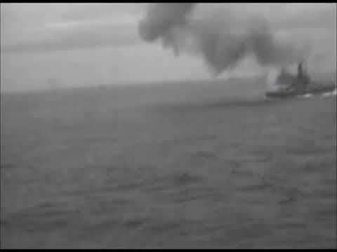 ナ*オ様 1945’s★アメリカ海軍★USS BURDO ★WW2・ミリタリーブ ナ*オ様 1945's☆アメリカ海軍☆USS BURDO ☆WW2・ミリタリーブ US