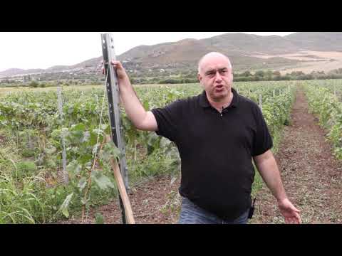 GREEN TV   CHKHENKELI ბოლნისი 19 09 2020 New Version