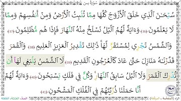 سورةُ يس (36 - 41) - أحمد النفيس