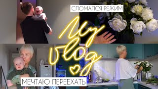 My vlog: попытки наладить режим, любимые весенние цветы и мои мечты о переезде