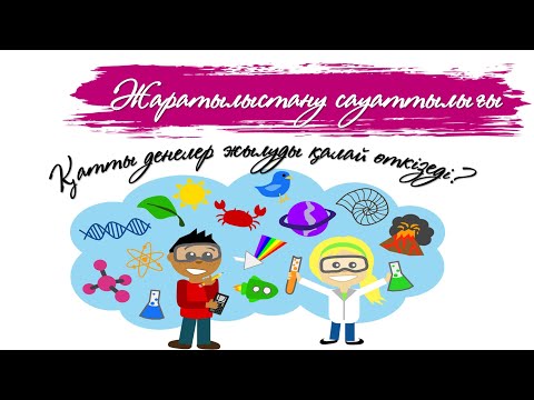 Бейне: Жылуды қалай көміртексіздендіруге болады?