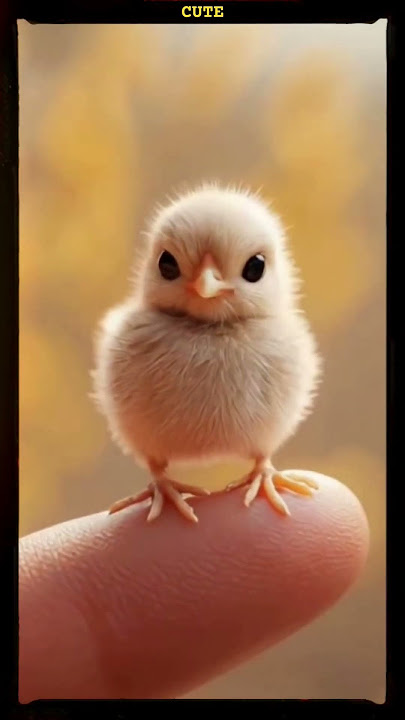 Tokei No Uta ♥️ | Nonka Murakata | #trending #viral #lyrics #animals #pets #love #happy #like #share