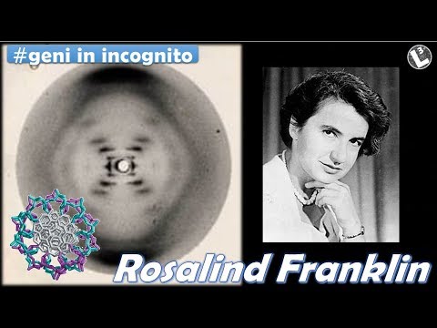 Video: Cosa hanno fatto Franklin e Wilkins?