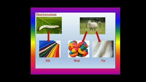 Class- 3rd / Science Chapter-7 ( Housing And Clothing - Summary )