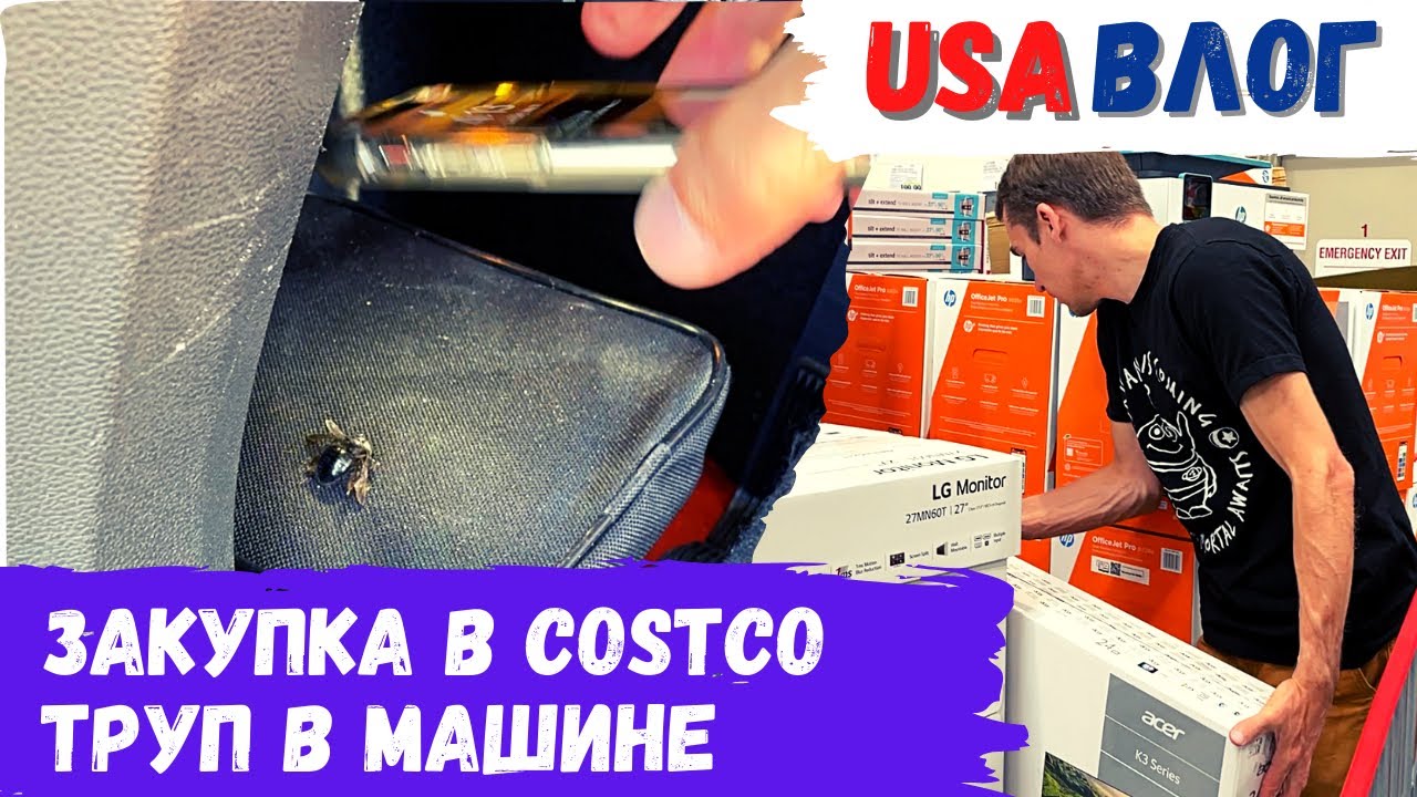 Подписчики прикол в машине