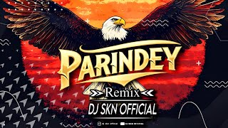 Parindey ( Punjabi Mix ) Remixx Dj Skn Official 