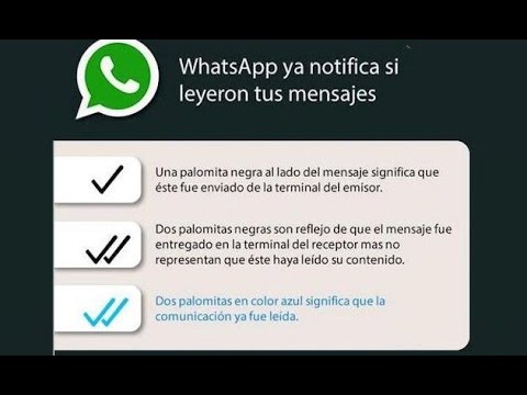 Quitar tick azul whatsapp