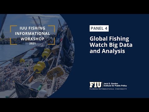 Global Fishing Watch Big Data and Analysis