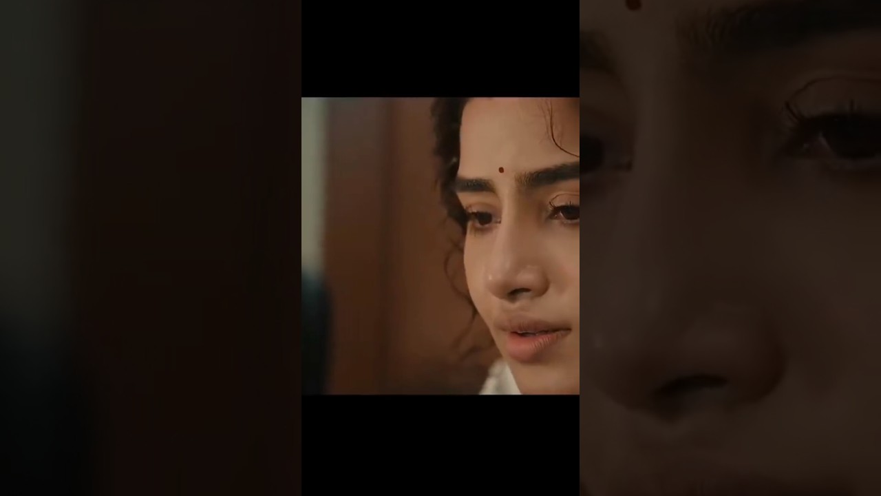 New South Movie Explained In Hindi Dubbed 2026 