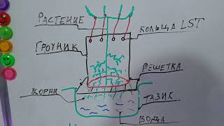 Новая технология как увеличить урожай в growic