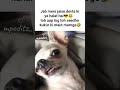 Just Kidding 😂 Dil pe mat lena#memes#viral  #popular #funnymemes #tweetreels #ytshorts
