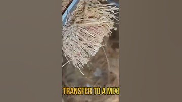 Easy Way To Make Cocopeat At Home | How to make Cocopeat from coconut, how to make Cocopeat #shorts