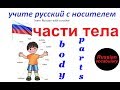 № 9  Русский с нуля : ЧАСТИ ТЕЛА : голова, нога, рука / русский для начинающих