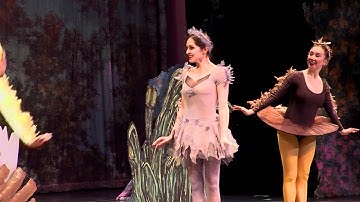 Homework Hotline Move to Include: Sensory-Friendly Ballet