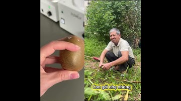 Một số thanh niên 30 tuổi kiểu   PS Video chỉ mang tính chất giải trí  không mang tính công kích bất