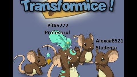 FIRST Vanilla Gameplay | TRANSFORMICE