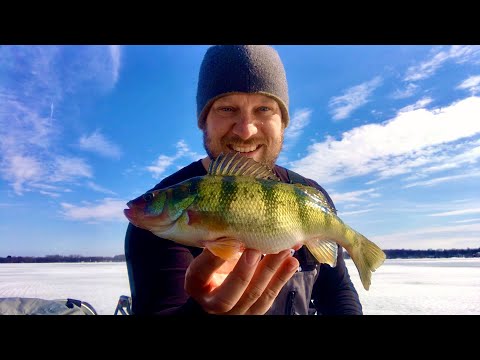 Ice Fishing for