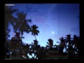 ザンジバル ナイト