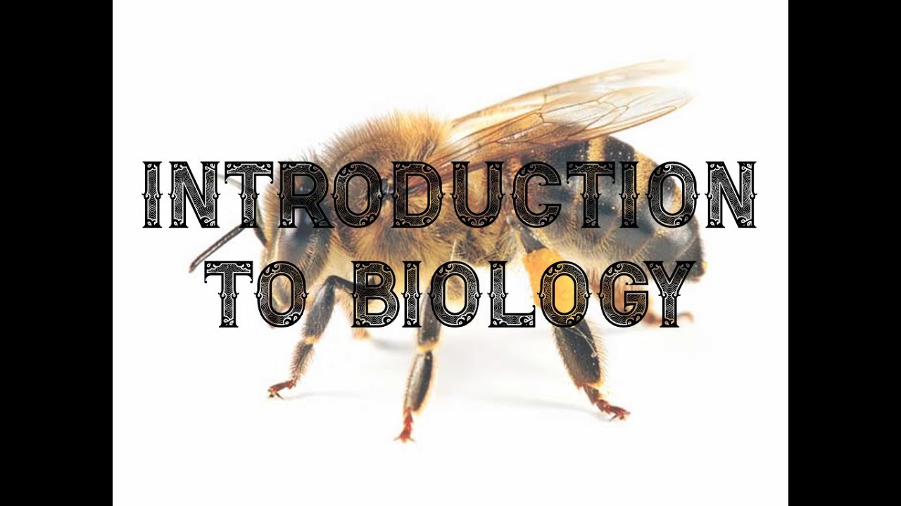 Intro to Biology - YouTube