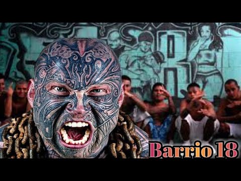Barrio 18 Ang Mortal Na Kalaban Ng Ms13(biggest Gang In California) dms tv
