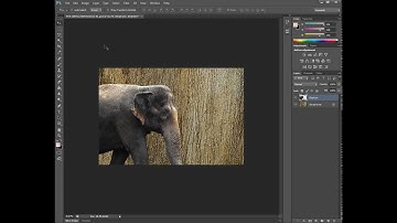 Photoshop - Reset Essentials - Restore Default Tool Palettes - Default Window Positions