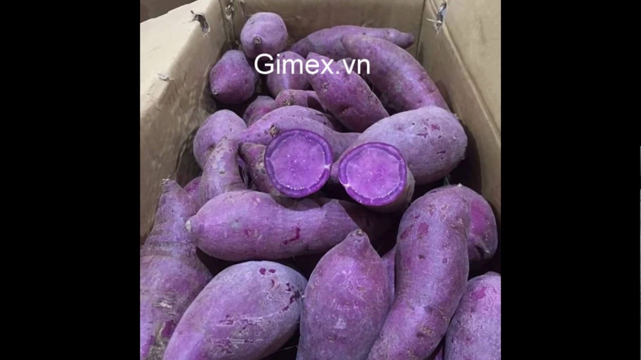 Japanese sweet potato from Vietnam YouTube