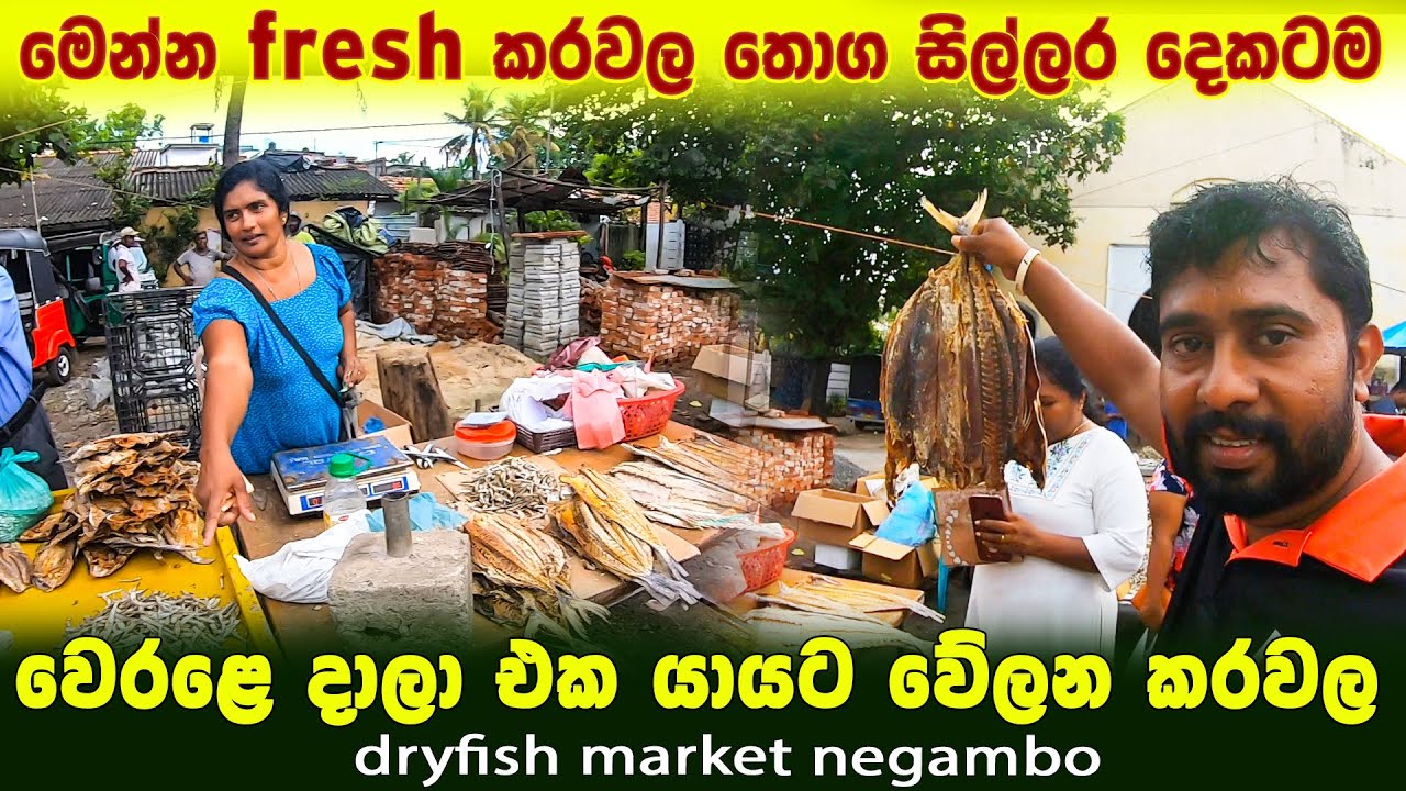 මෙන්න කරවල පොළ තොග සිල්ලර දෙකටම | ලස්සනම පොළ | යායට වේලන කරවල වාඩි | dry fish market negambo