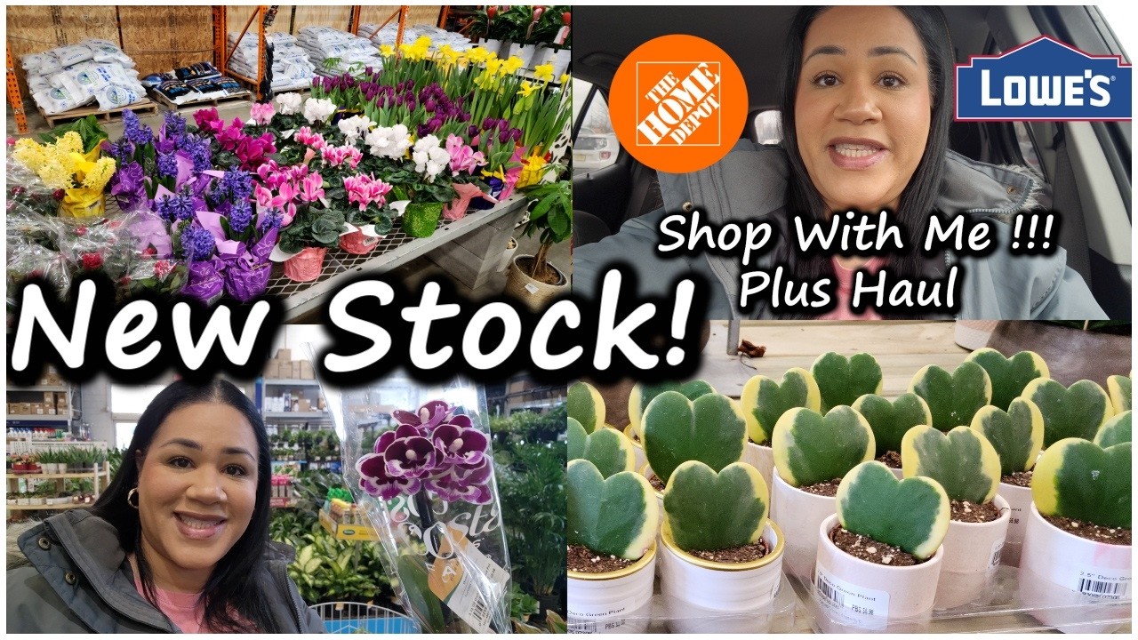 Full Tour of Lowe's & Home Depot Plant section + Mini Haul