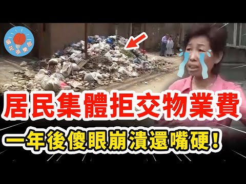小區居民蠻橫拒絕交物業費，不料一年後全體傻眼崩潰，卻仍嘴硬還想耍賴慘遭教育！｜社會新聞