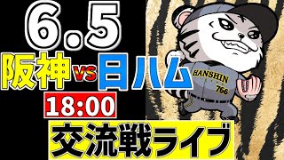 ちろる 5枚 阪神 交流戦 LIVE 】 6/5 阪神タイガース 対 北海道日本ハム