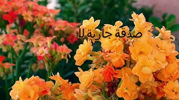 سورة الفيل بصوت القارئ فارس عباد 105